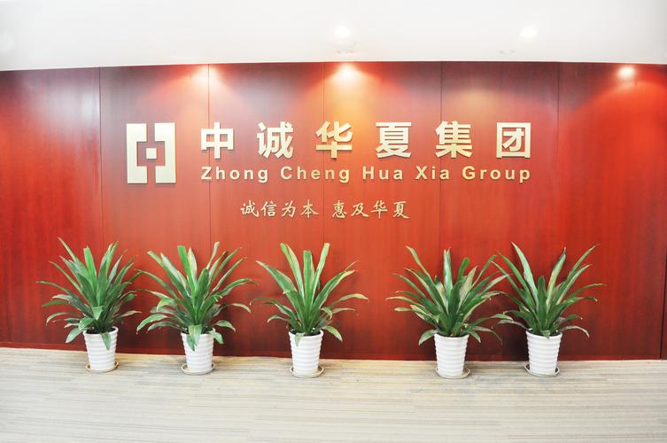中誠華夏信息咨詢集團 以專業(yè)護航，解碼新時代信息咨詢服務(wù)價值